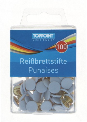 100 reißbrettstifte - 100,